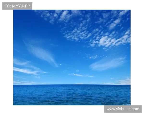 深邃蔚蓝的奇迹：一场关于海洋纪录片的视觉与心灵盛宴